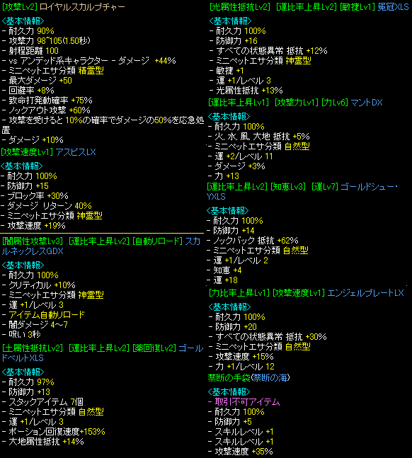 GV装備2009.1.PNG