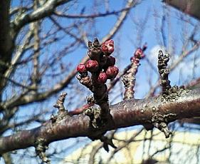 2008-02-25a.jpg