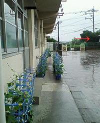 0628小学校.jpg