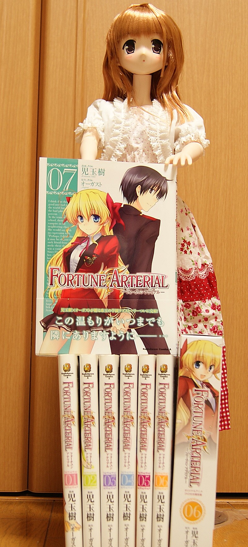 FORTUNE ARTERIAL7A.jpg