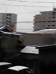 うっすら雪の朝2009-11-11.jpg