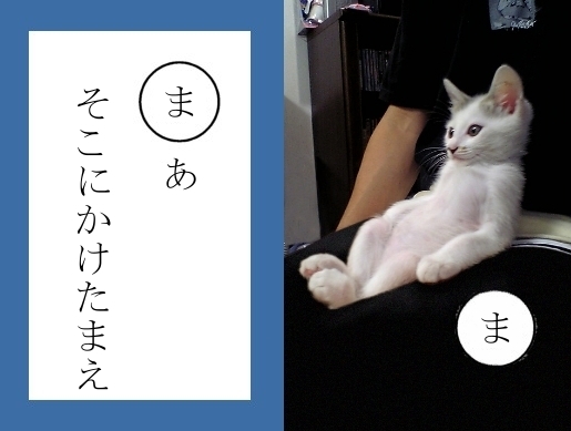 猫 鍋 歌詞