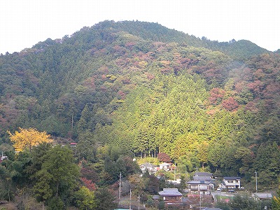 2011-11-14吾野～名栗～青梅 005.jpg