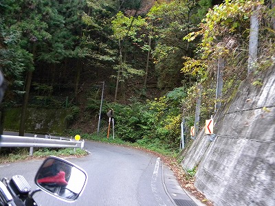 2011-11-14吾野～名栗～青梅 029.jpg