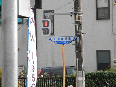 2011-11-14吾野～名栗～青梅 089.jpg