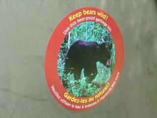 keep bears wild!