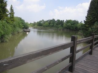 呉淞炮台湾湿地森林公園