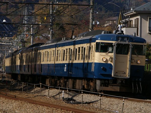 IMGP8051.jpg