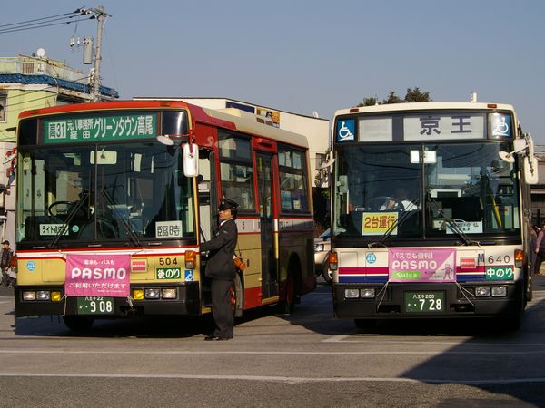 IMGP8100.jpg