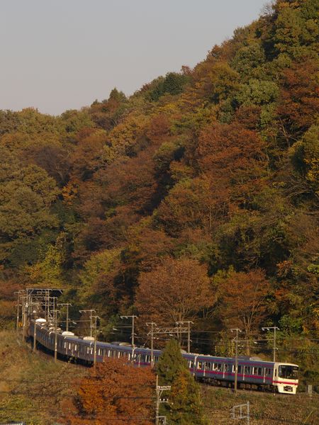 IMGP8133.jpg