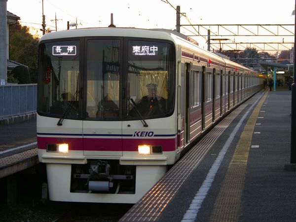 IMGP8171.jpg
