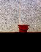 VQ1005 582.jpg