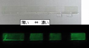 yakou01.jpg