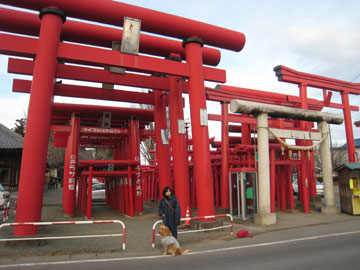 小泉稲荷神社