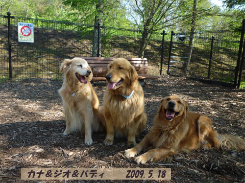 軽井沢のお友達と