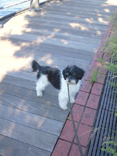 2010-09-25 19:55:43