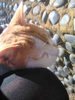 2011-01-18 23:16:56