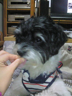 2010-04-01 16:47:52