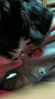 2011-10-29 21:10:03