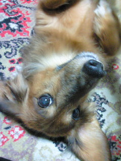 2010-10-12 21:36:20