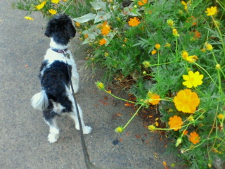 2011-09-09 17:52:35
