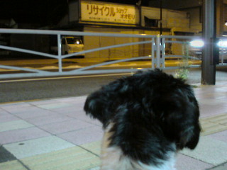 2010-07-17 01:20:09