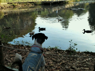 2011-10-09 00:22:56