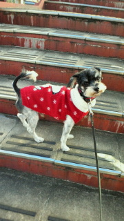 2011-12-13 14:37:36