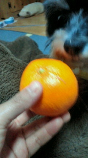 2011-12-07 20:23:41