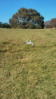 2011-10-30 14:00:28