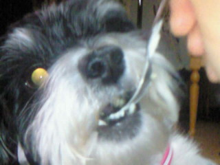 2010-03-07 20:38:17