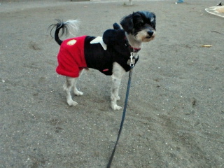 2011-12-24 14:36:04