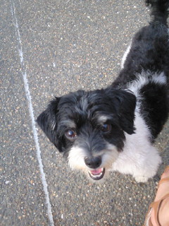 2010-07-26 17:21:15
