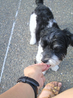 2010-07-26 17:21:15