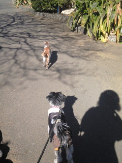 2011-01-18 23:16:56