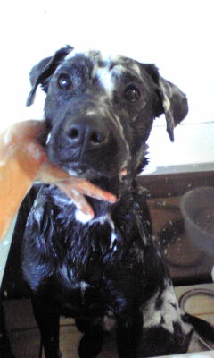 2009-11-23 002.jpg