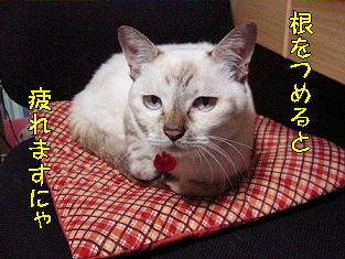 執筆終了
