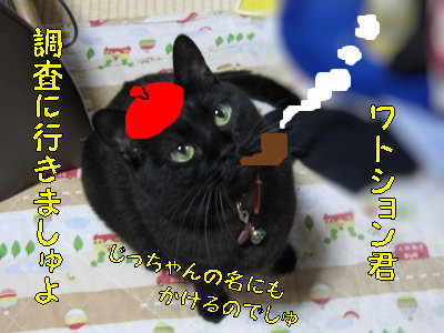 迷探偵・黒猫あくびん