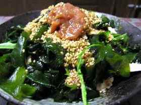 ワカメと鶏肉の梅ゴマドレ