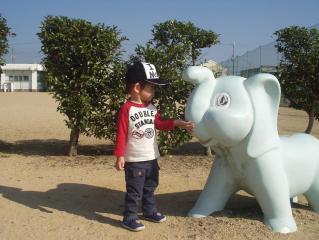 キャップ着画　２