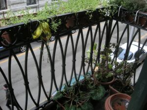 balcone disastro.jpg