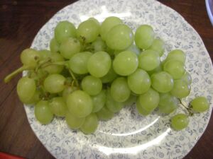 ぶどう.jpg