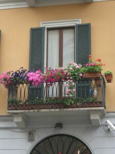 balcone 2008.jpg