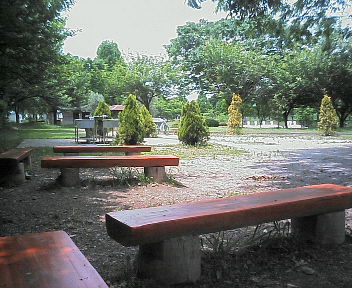 NEC_0023.JPG