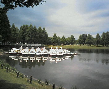 NEC_0024.JPG