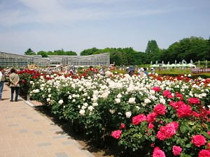 神代植物公園