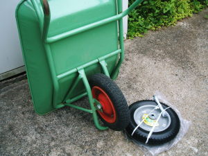 ネコ、パンク　1