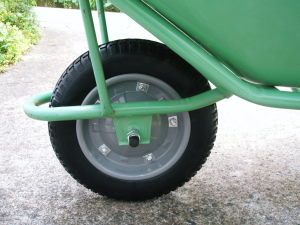 ネコ、パンク　2