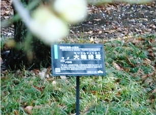 神代植物園1-2.jpg