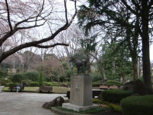 桜2010-7 東京競馬場